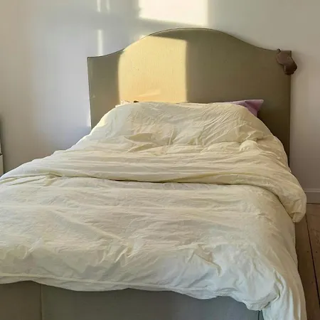 Apartamento Spacious Flat With Courtyard In Norrebro *
